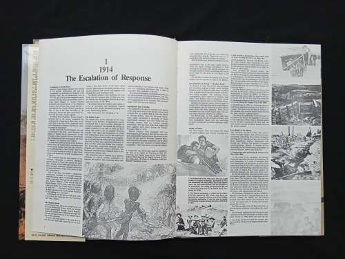 Taming the Landmine by Peter Stiff