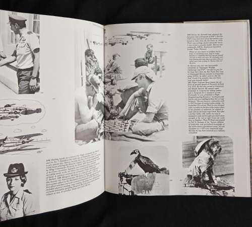 Contact II - Struggle for Peace by Paul L. Moorcraft