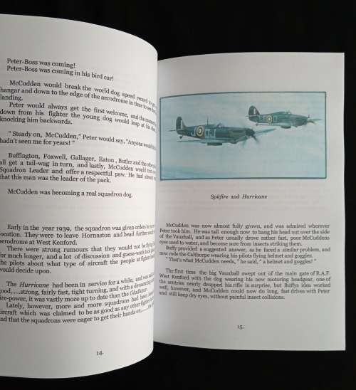 Squadron Dog by Acton Kaye