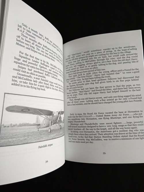Squadron Dog by Acton Kaye
