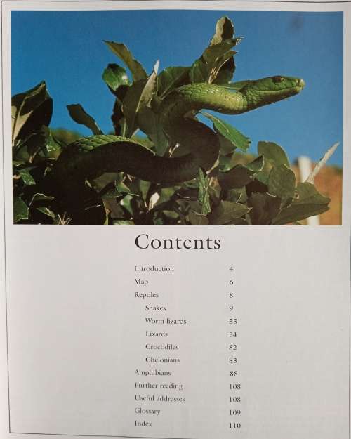 Everyone`s Guide to Snakes, other Reptiles & Amphibians of Southern Africa by Bill Branch