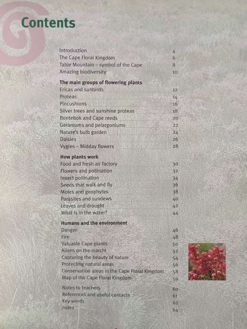 Explore the Cape Flora: Plants & Animals by Margo Branch
