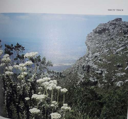 Table Mountain Walks