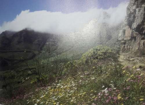 Table Mountain Walks