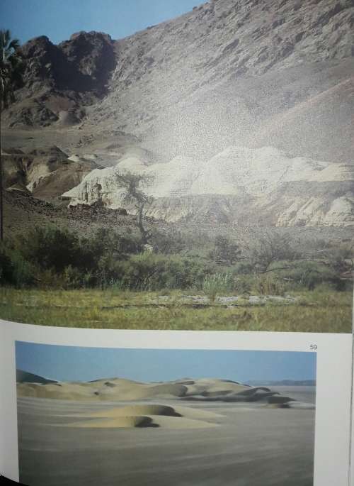 Skeleton Coast - Amy Shoeman