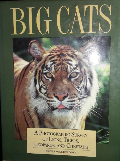 Big Cats - Barbara Radcliff Rogers