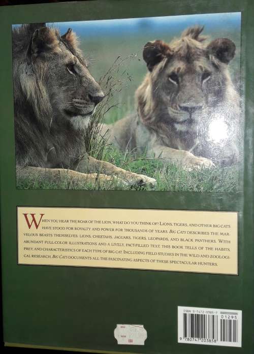 Big Cats - Barbara Radcliff Rogers