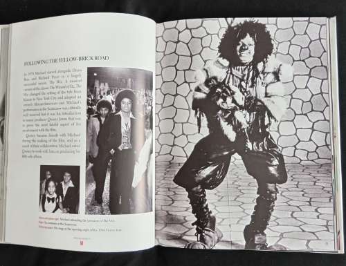 Michael Jackson, Legend-Hero-Icon: A tribute to the King of Pop by James Aldis