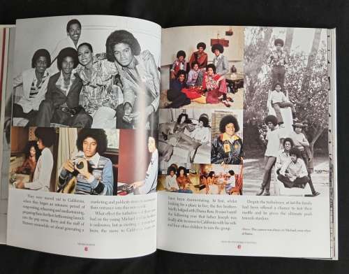 Michael Jackson, Legend-Hero-Icon: A tribute to the King of Pop by James Aldis
