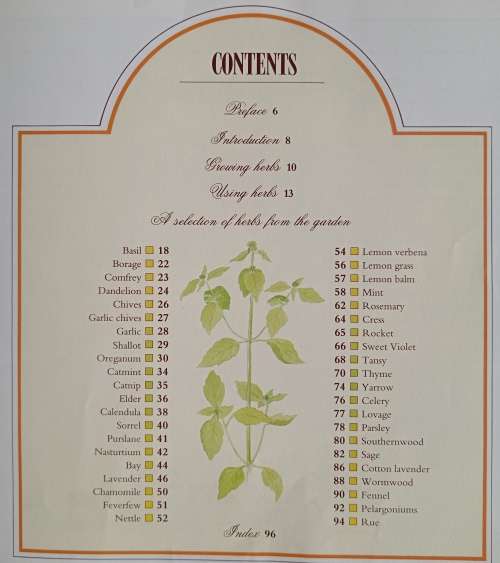 A Celebration of Herbs for the South African Garden & Home by Barbara Hey