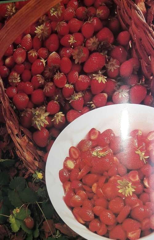 Nice @n Easy Cookbook - Lyn Bedford Hall