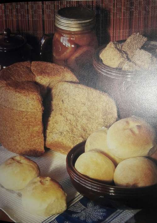 Short-Cut Cookbook - Annette Human
