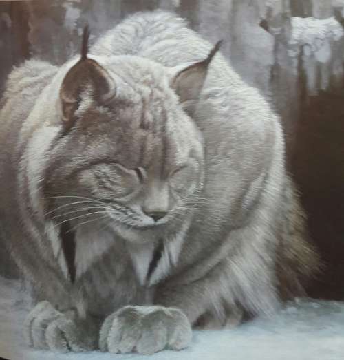 An Artist In Nature - Robert Bateman - Text by Rick Archbold