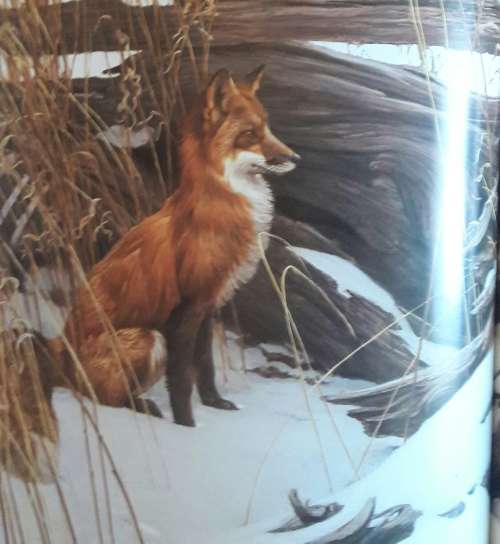 An Artist In Nature - Robert Bateman - Text by Rick Archbold