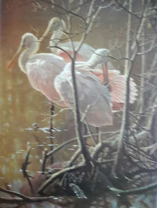 An Artist In Nature - Robert Bateman - Text by Rick Archbold