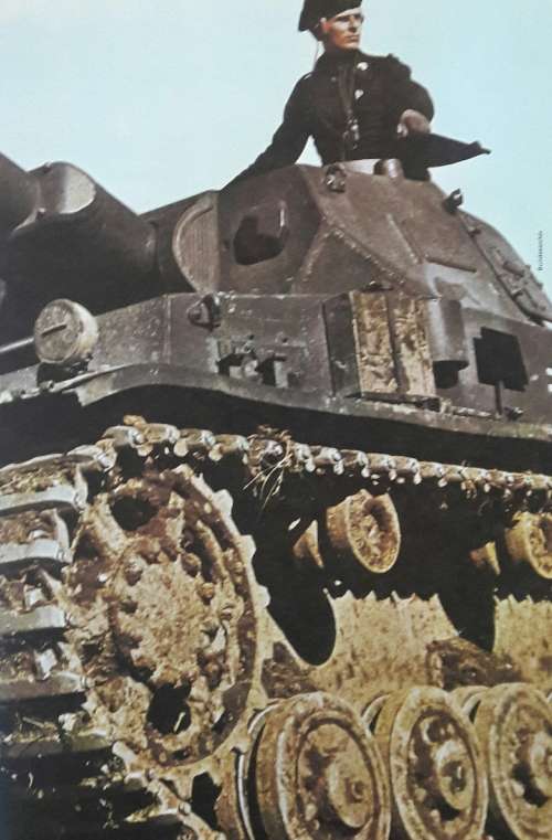 German Tanks & Fighting Vehicles of World War II
