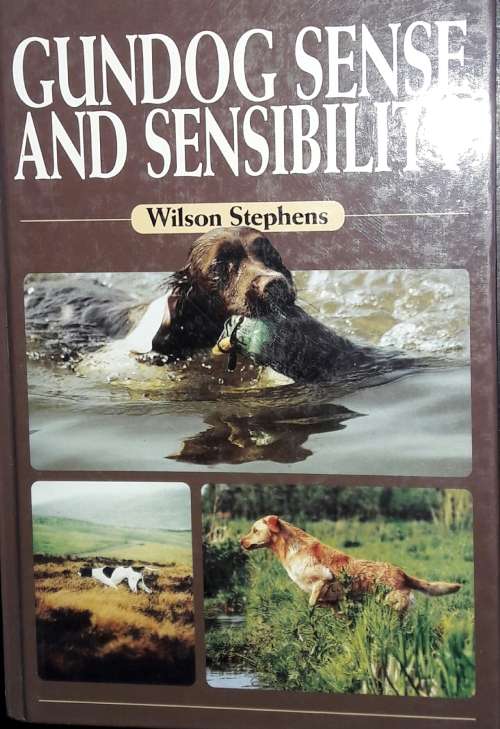Gundog Sense And Sensibility - Wilson Stephens