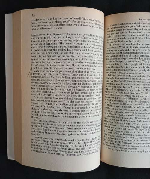 Bessie Head - Thunder Behind Her Ears: Her Life & Writing by Gillian Stead Eilersen