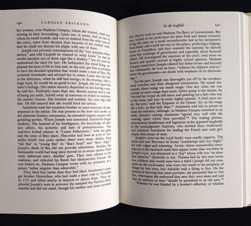 To the Scaffold: The Life of Marie Antoinette by Carolly Erickson