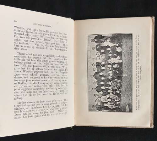 Die Oorwinnaar: Verhale van President Steyn by M. E. Rothmann