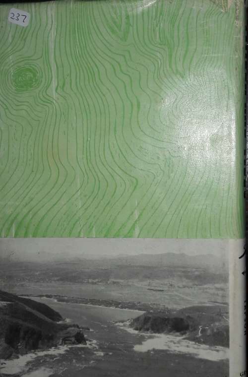 Timber And Tides - The Story Of Knysna And Plettenberg Bay - Winifred Tapson