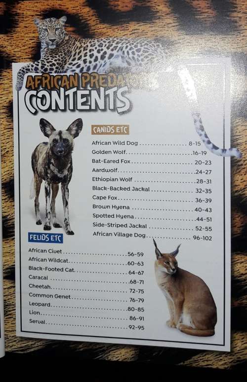 African Predators - Andrew Rae
