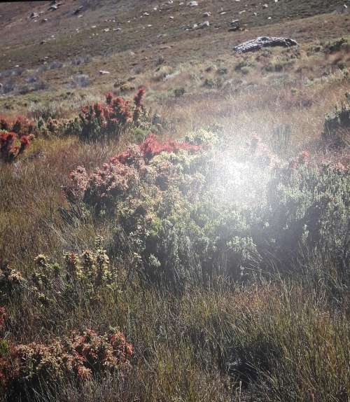 Essence Of A Land - Tim Hauf