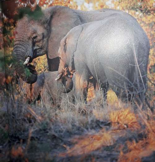 Essence Of A Land - Tim Hauf