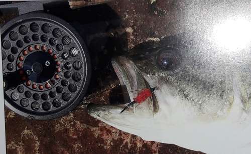 Fly-Fishing South Africa`s Rivers, Lakes And Surf - Bruce Black