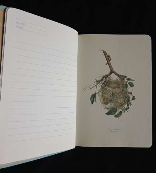 Bird Watching & Other Nature Observations (Journal)