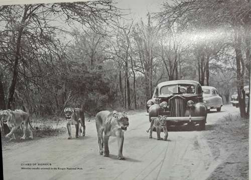 Joyful Errand - Dr L van Schalkwijk