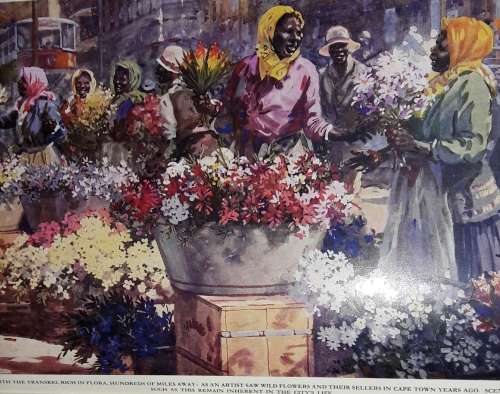 Joyful Errand - Dr L van Schalkwijk