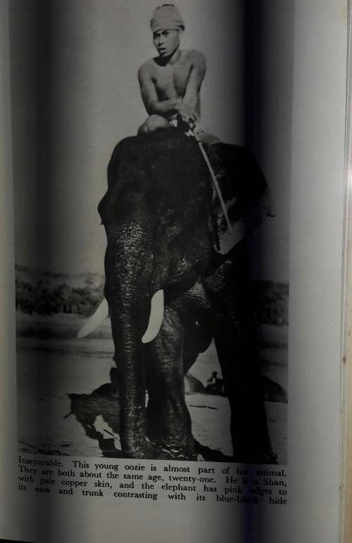 Elephant Bill - J H Williams