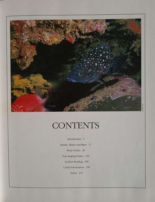 Everyone`s Guide to Sea Fishes of Southern Africa by Rudy van der Elst