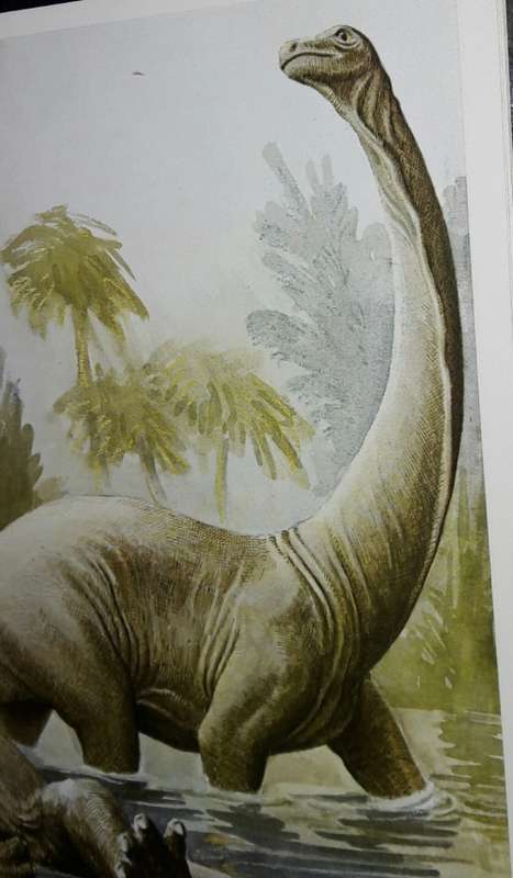 Fossil Reptiles of the South African Karoo - M A Cluver