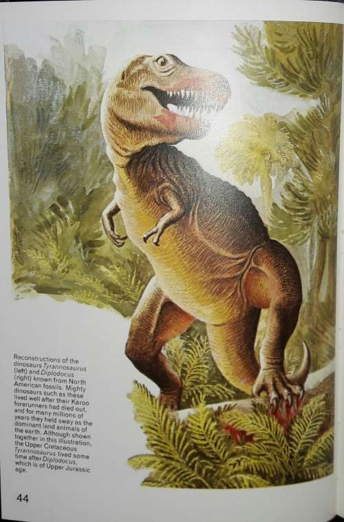 Fossil Reptiles of the South African Karoo - M A Cluver
