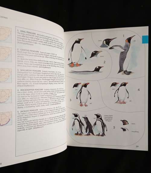 Sasol Birds of Southern Africa by Ian Sinclair, Phil Hockey & Warwick Tarboton