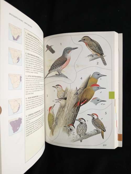 Sasol Birds of Southern Africa by Ian Sinclair, Phil Hockey & Warwick Tarboton