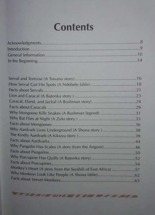 When Lion Could Fly And Other Tales From Africa