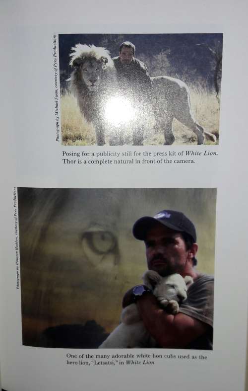 Part Of The Pride - My Life Among The Big Cats Of Africa - Kevin Richardson with Tony Park