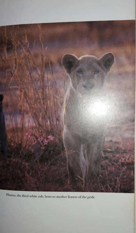 Operation White Lion - Chris McBride