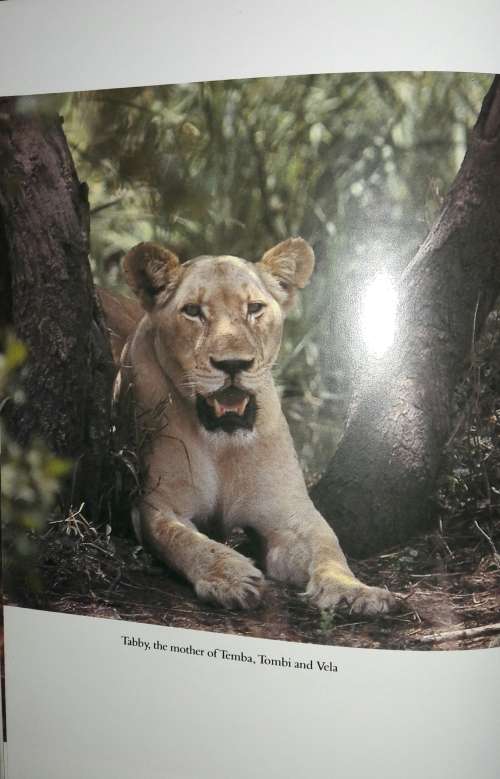 Operation White Lion - Chris McBride