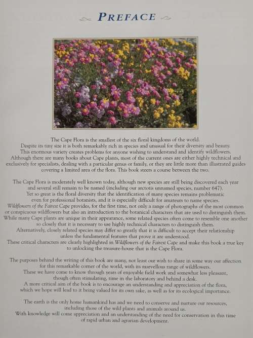 Wildflowers of the Fairest Cape by Peter Goldblatt & John Manning