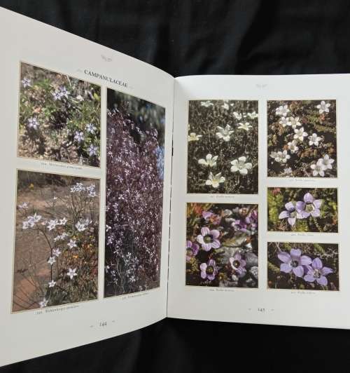 Wildflowers of the Fairest Cape by Peter Goldblatt & John Manning