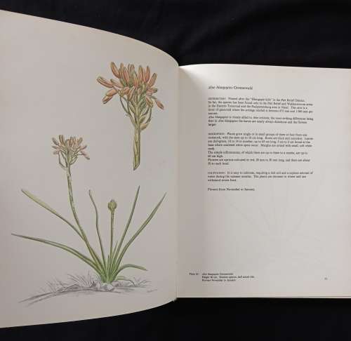 Aloes of the South African Veld by Hans Bornman & David Hardy