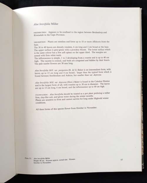 Aloes of the South African Veld by Hans Bornman & David Hardy