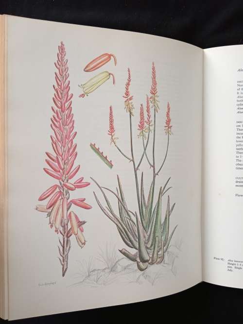Aloes of the South African Veld by Hans Bornman & David Hardy