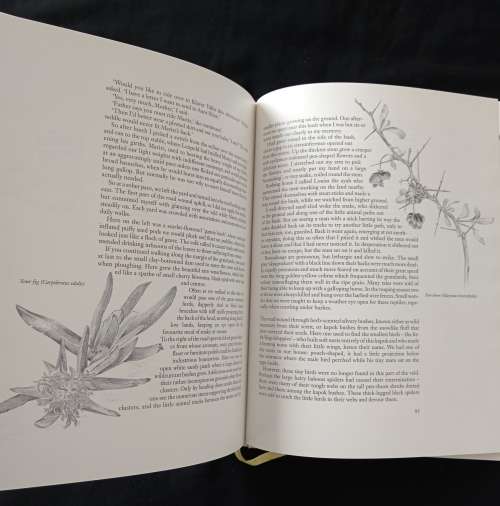 Ganzekraal A West Coast Year by Mary Melck Kuttel