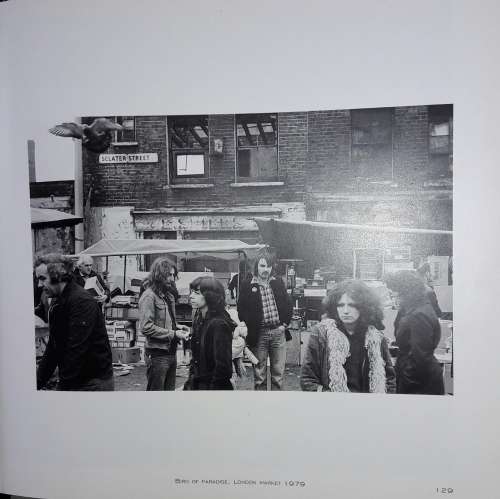 Witness - Jurgen Schadeberg