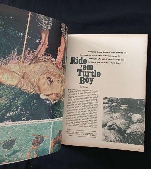 Saga Volume 26 Number 2